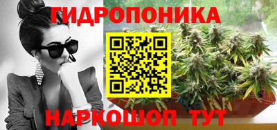 хмурый Кимры