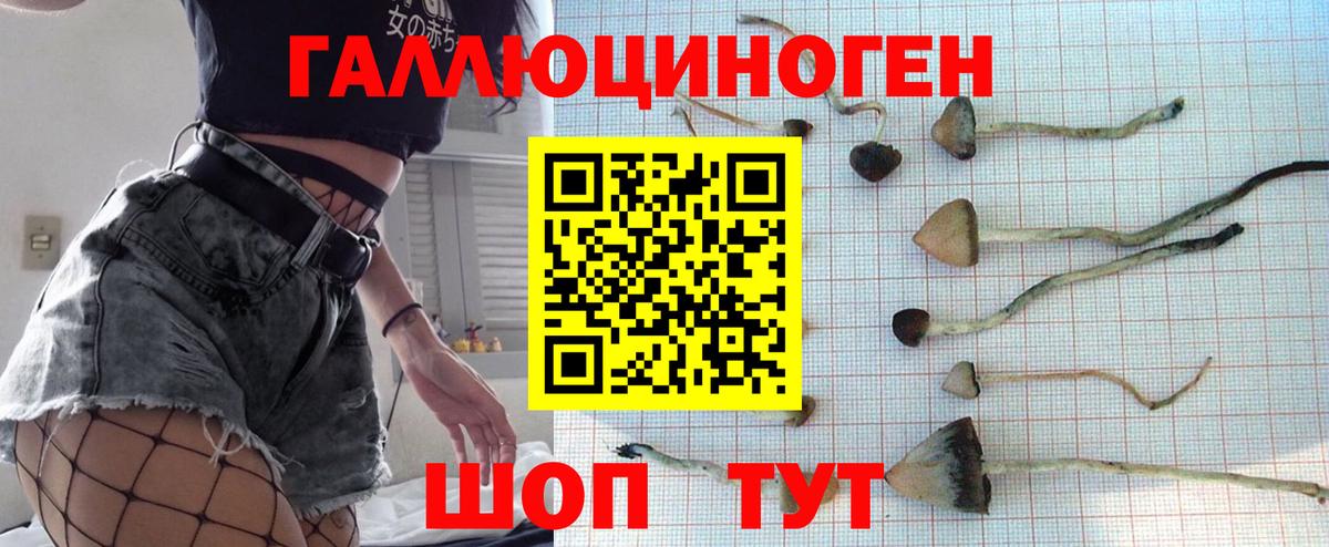 Советская Гавань  Псилоцибиновые грибы Magic Shrooms  Вход с VPN 