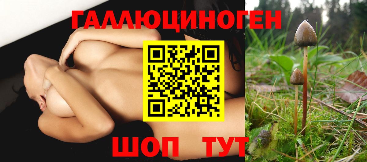 Галлюциногенные грибы прущие грибы Советская Гавань